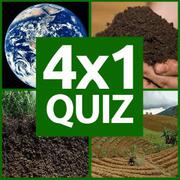 4x1 Picture Quiz